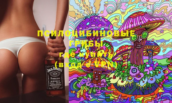 мдпв Медвежьегорск