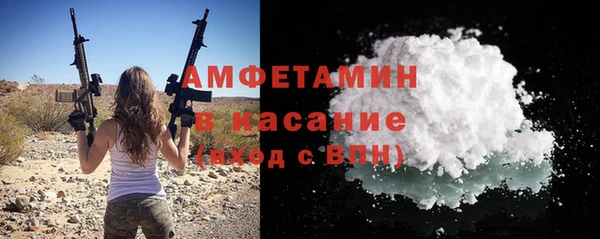 шишки Билибино