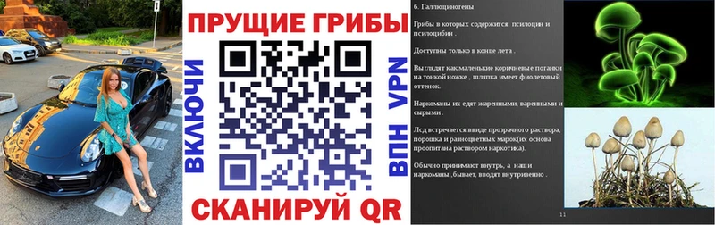 Псилоцибиновые грибы ЛСД где купить наркоту кракен рабочий сайт Вилючинск